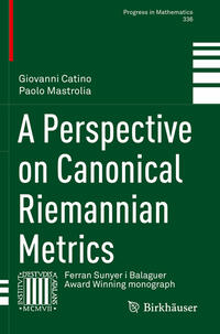 Vorderes Coverbild A Perspective on Canonical Riemannian Metrics