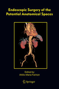 Vorderes Coverbild Endoscopic Surgery of the Potential Anatomical Spaces