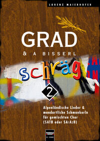 Vorderes Coverbild Grad & a bissl schräg 2 - SATB