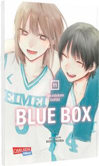 Vorderes Coverbild Blue Box 11