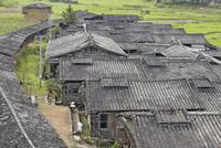Vorderes Coverbild Chinese Vernacular. The Weiwu at Dafuzhen