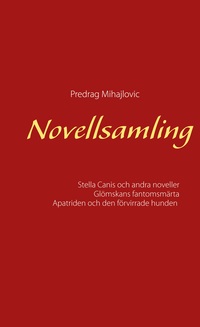 Vorderes Coverbild Novellsamling