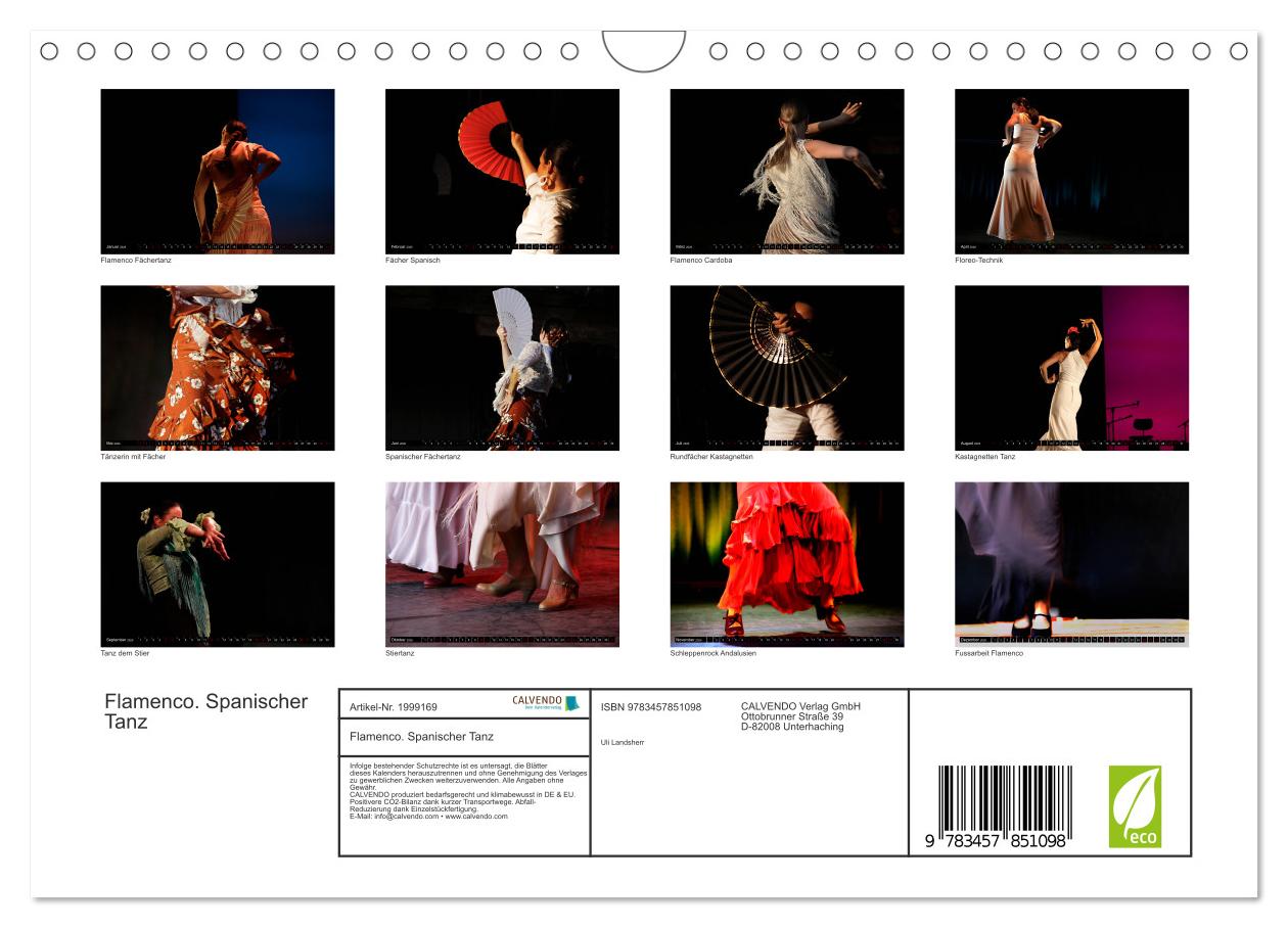 Beispielinhalt (Bild) Flamenco. Spanischer Tanz (Wandkalender 2026 DIN A4 quer), CALVENDO Monatskalender