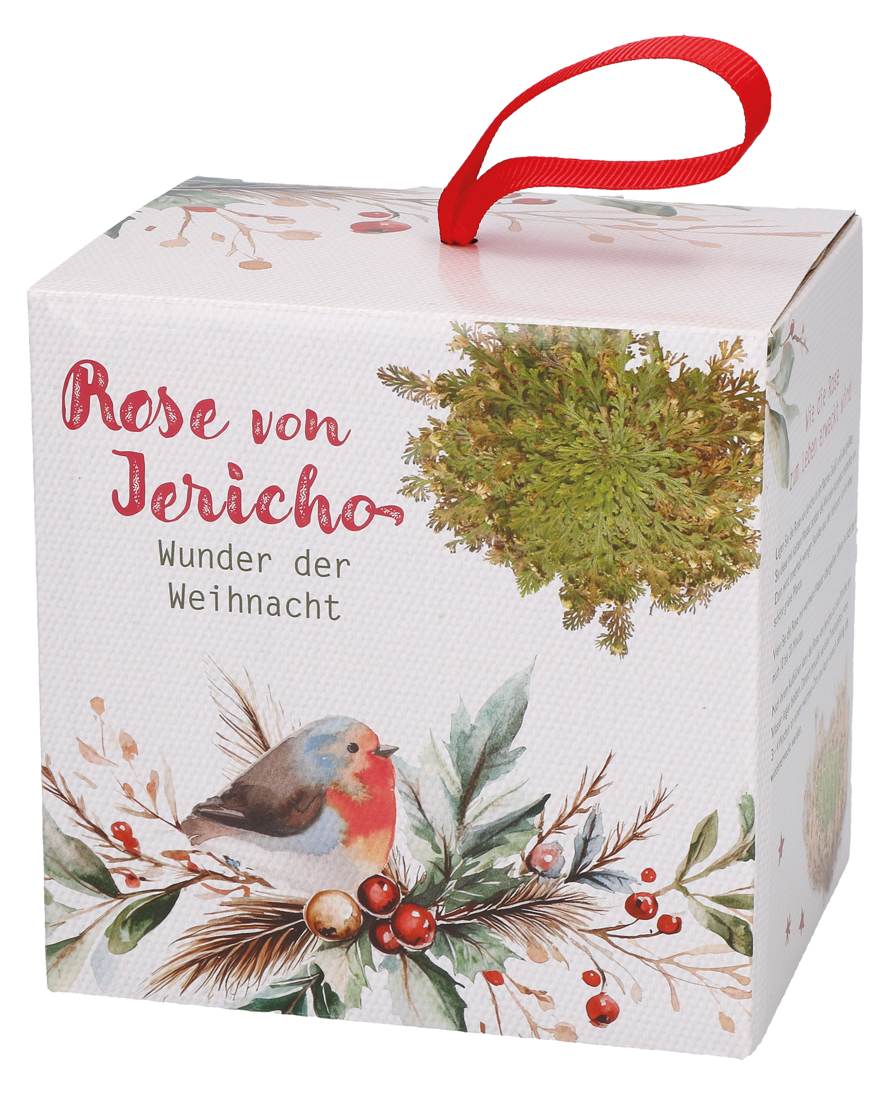 Anderes Coverbild Wunder der Weihnacht