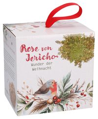 Vorderes Coverbild Wunder der Weihnacht