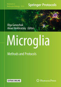 Vorderes Coverbild Microglia