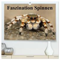 Vorderes Coverbild Faszination Spinnen (hochwertiger Premium Wandkalender 2025 DIN A2 quer), Kunstdruck in Hochglanz