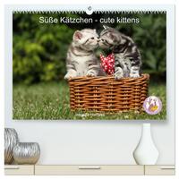 Vorderes Coverbild Süße Kätzchen - cute kittens (hochwertiger Premium Wandkalender 2025 DIN A2 quer), Kunstdruck in Hochglanz