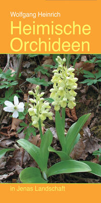 Vorderes Coverbild Heimische Orchideen in Jenas Landschaft