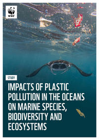 Vorderes Coverbild Impacts of Plastic Pollution in the Ocean on Marine Species, Biodiversity an Ecosystems