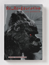 Vorderes Coverbild Re-Re-Education