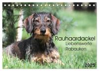 Vorderes Coverbild Liebenswerte Rabauken - Rauhaardackel (Tischkalender 2025 DIN A5 quer), CALVENDO Monatskalender
