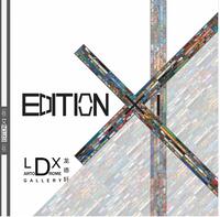 Vorderes Coverbild Edition XI