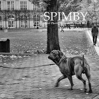 Vorderes Coverbild SPIMBY