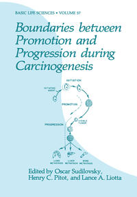 Vorderes Coverbild Boundaries between Promotion and Progression during Carcinogenesis
