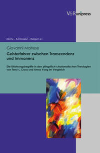 Vorderes Coverbild Geisterfahrer zwischen Transzendenz und Immanenz