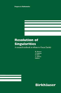 Vorderes Coverbild Resolution of Singularities