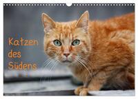 Vorderes Coverbild Katzen des Südens (Wandkalender 2025 DIN A3 quer), CALVENDO Monatskalender