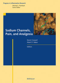 Vorderes Coverbild Sodium Channels, Pain, and Analgesia