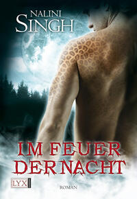 Vorderes Coverbild Im Feuer der Nacht
