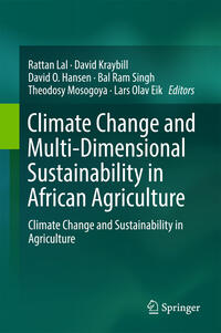 Vorderes Coverbild Climate Change and Multi-Dimensional Sustainability in African Agriculture