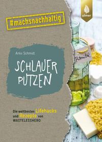Vorderes Coverbild Schlauer putzen