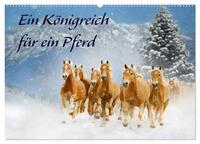 Vorderes Coverbild Ein Königreich für ein Pferd (Wandkalender 2025 DIN A2 quer), CALVENDO Monatskalender