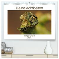 Vorderes Coverbild Kleine Achtbeiner (hochwertiger Premium Wandkalender 2025 DIN A2 quer), Kunstdruck in Hochglanz