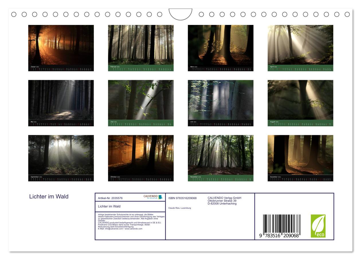 Beispielinhalt (Bild) Lichter im Wald (Wandkalender 2026 DIN A4 quer), CALVENDO Monatskalender