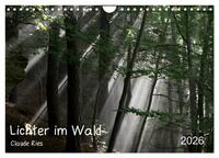 Vorderes Coverbild Lichter im Wald (Wandkalender 2026 DIN A4 quer), CALVENDO Monatskalender