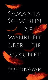 Vorderes Coverbild Die Wahrheit über die Zukunft