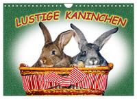Vorderes Coverbild Lustige Kaninchen (Wandkalender 2026 DIN A4 quer), CALVENDO Monatskalender