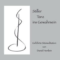 Vorderes Coverbild Stiller Tanz ins Gewahrsein (CD)