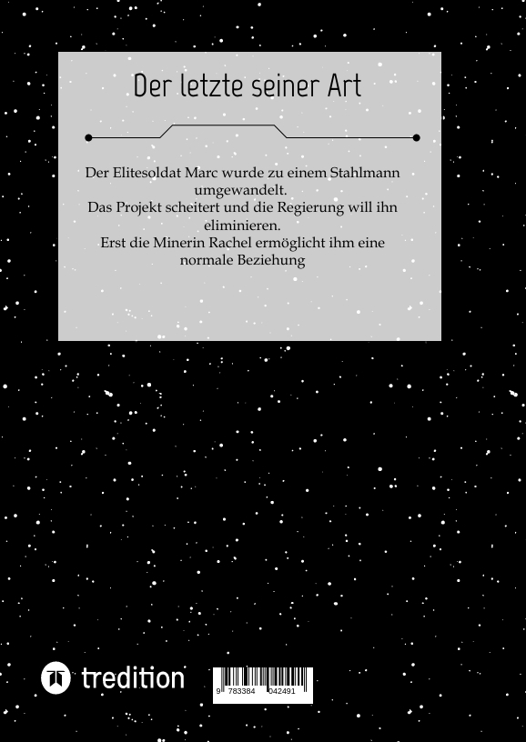 Rückseitencover Das Stahlmann-Projekt