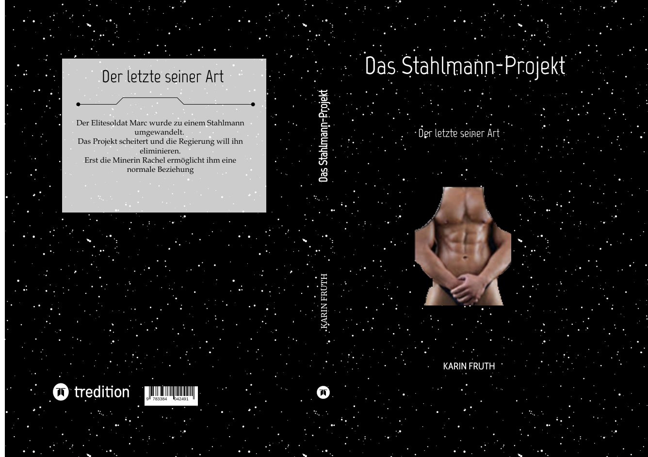 Gesamtes Coverbild Das Stahlmann-Projekt