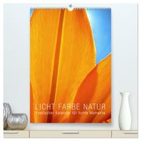 Vorderes Coverbild Licht Farbe Natur (hochwertiger Premium Wandkalender 2026 DIN A2 hoch), Kunstdruck in Hochglanz