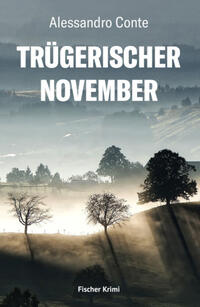 Vorderes Coverbild Trügerischer November