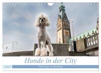 Vorderes Coverbild Hunde in der City - Unterwegs in Hamburg (Wandkalender 2025 DIN A4 quer), CALVENDO Monatskalender
