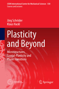 Vorderes Coverbild Plasticity and Beyond