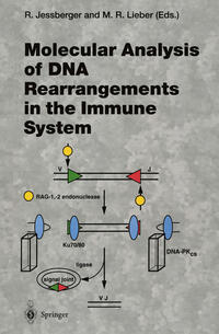 Vorderes Coverbild Molecular Analysis of DNA Rearrangements in the Immune System