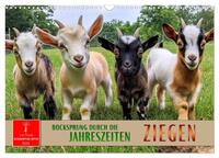 Vorderes Coverbild Ziegen - Bocksprung durch das Jahr (Wandkalender 2025 DIN A3 quer), CALVENDO Monatskalender