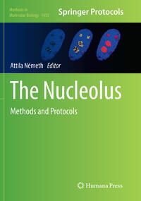 Vorderes Coverbild The Nucleolus