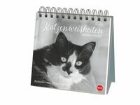 Vorderes Coverbild Monika Wegler: Katzen Weisheiten Premium-Postkartenkalender 2025
