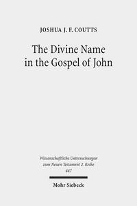 Vorderes Coverbild The Divine Name in the Gospel of John
