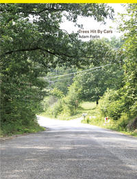 Vorderes Coverbild Trees Hit By Cars