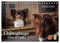 Vorderes Coverbild Chihuahuas - Cool and Cute (Tischkalender 2025 DIN A5 quer), CALVENDO Monatskalender