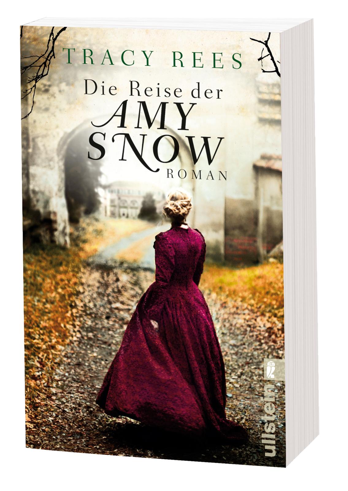 Beispielinhalt (Bild) Die Reise der Amy Snow