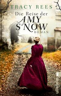 Vorderes Coverbild Die Reise der Amy Snow