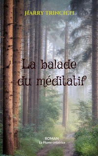 Vorderes Coverbild La balade du méditatif