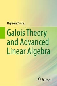 Vorderes Coverbild Galois Theory and Advanced Linear Algebra
